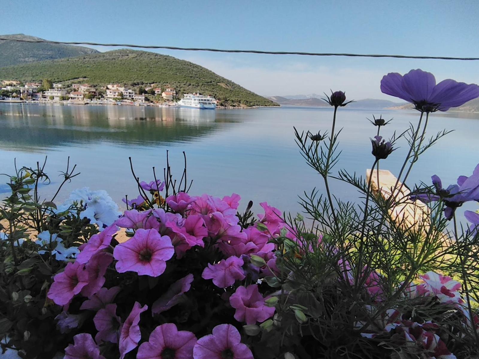 Meli-Ios Konuk evi Almiropótamos Dış mekan fotoğraf