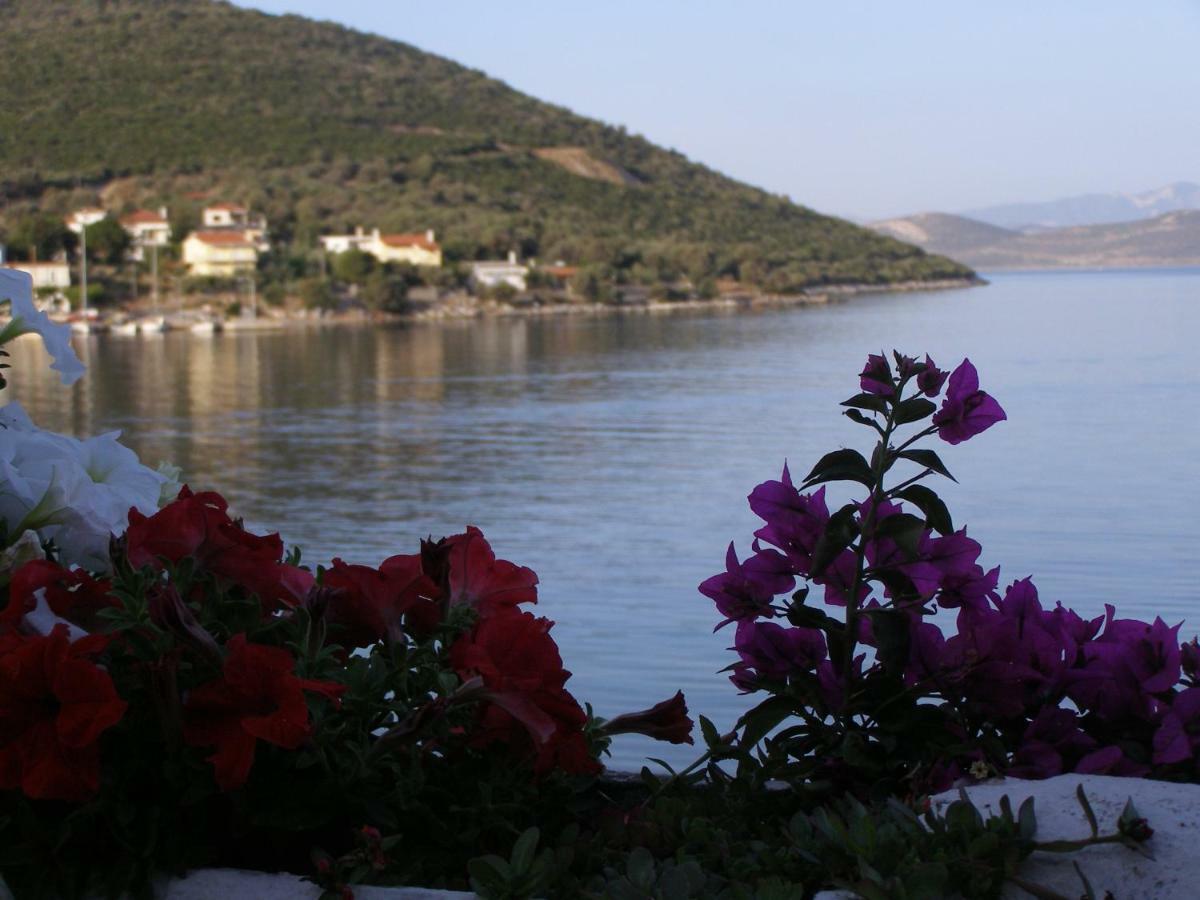 Meli-Ios Konuk evi Almiropótamos Dış mekan fotoğraf