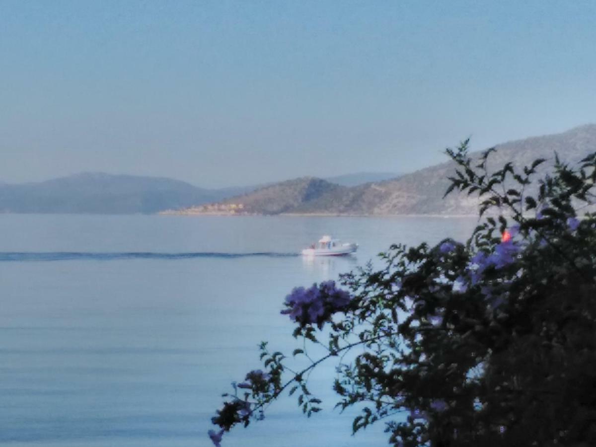 Meli-Ios Konuk evi Almiropótamos Dış mekan fotoğraf
