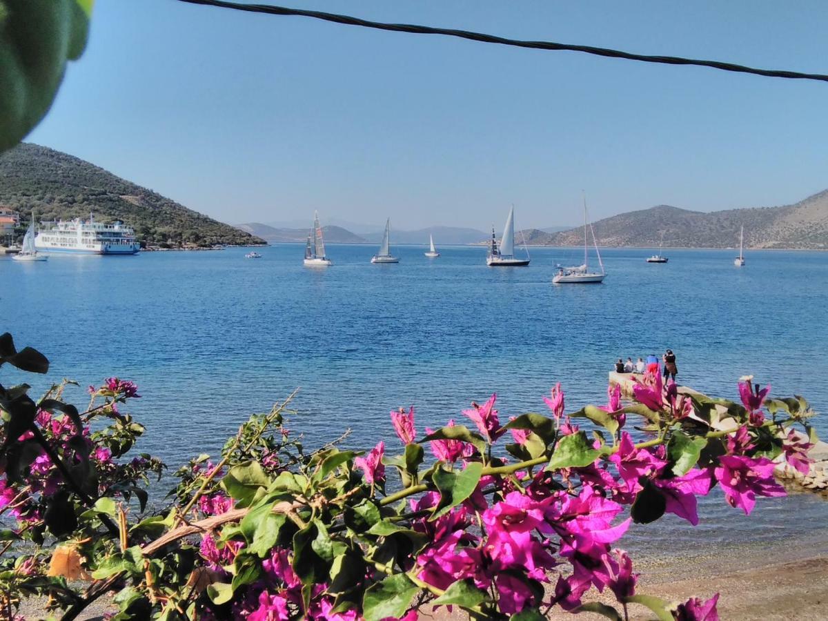 Meli-Ios Konuk evi Almiropótamos Dış mekan fotoğraf